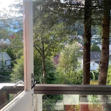7 Mountains Apt #3 Bergen