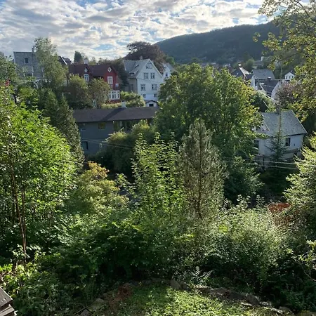 7 Mountains Apt #3 Bergen